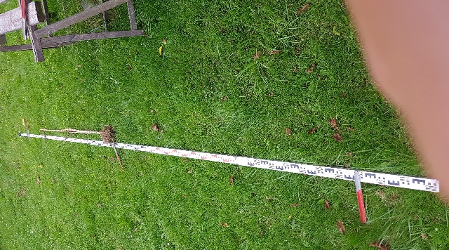 20240619_163324_g.jpg
