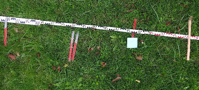 20240621_075259_g.jpg