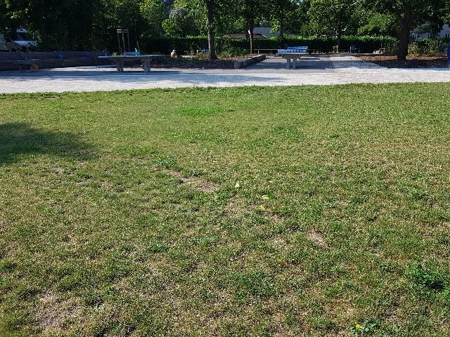 20240904_104815_g.jpg