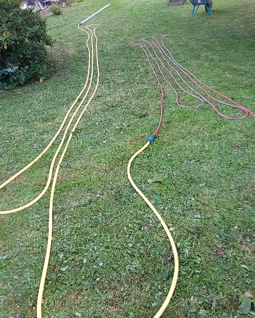 20240919_173542_g.jpg