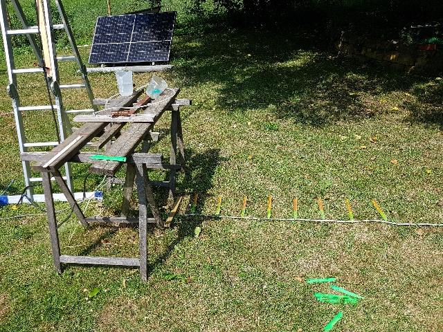 20250617_105316_g.jpg