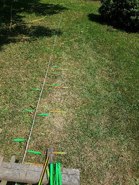 20250619_103311_g.jpg