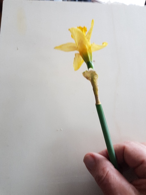 20260131_160622_g.jpg
