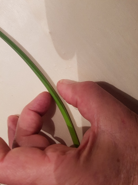 20260131_192038_g.jpg