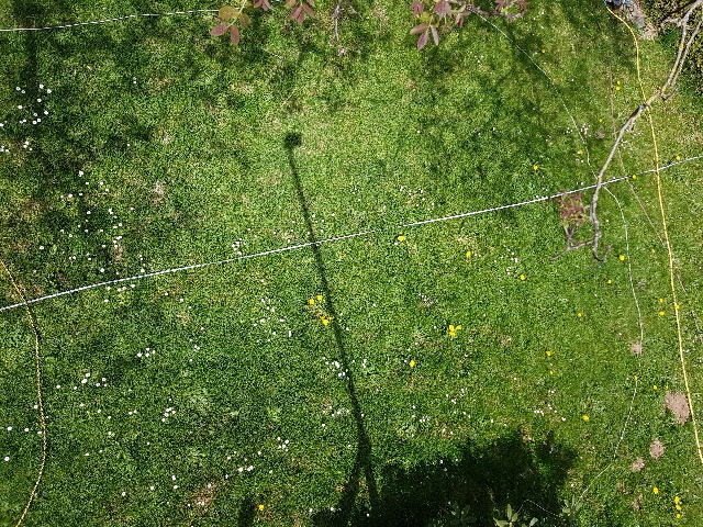 20260503_111821_g.jpg