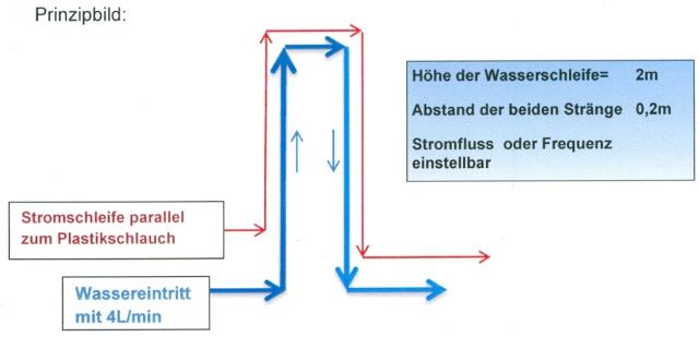 auer-001_g.jpg