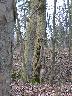 imk_5778_k.jpg