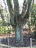 imk_5801_k.jpg