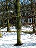 imk_6163_k.jpg