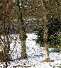 imk_6166_k.jpg