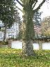 imk_6324_k.jpg