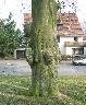 imk_6329_k.jpg