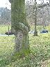 imk_6330_k.jpg