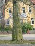 imk_6331_k.jpg