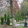 imk_6589_k.jpg