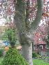 imk_6594_k.jpg