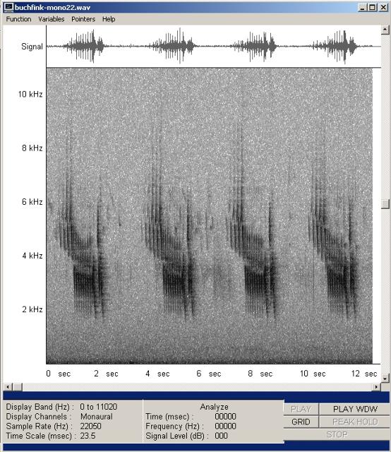 buchfink-mono22-wav-001_g.jpg