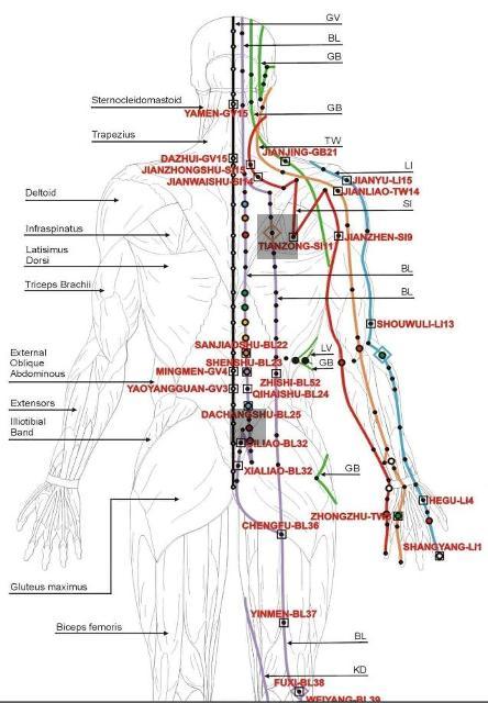 chinese_meridians-002a_g.jpg