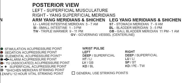 chinese_meridians-004_g.jpg