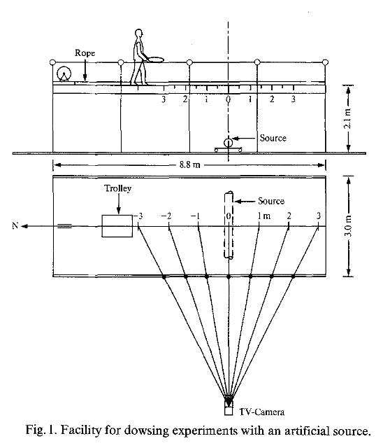 comunetti-011_g.jpg