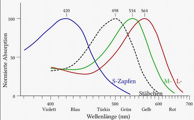 cone-absorbance-1416_color_sensitivity-002_g.jpg