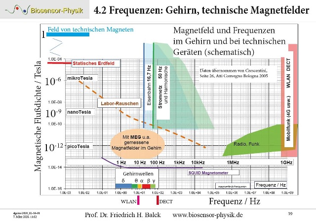 dgeim-2020-seite39-002_g.jpg