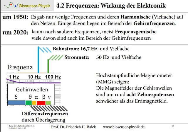 dgeim-2021-bad-soden-021-10-24-s35-001_g.jpg