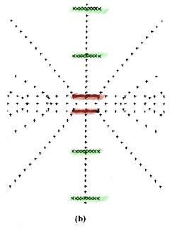dodd-fig-01-roh-b-b_m.jpg