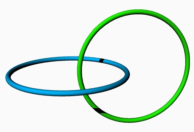 doppel-ring-003_g.jpg