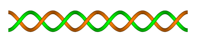 doppelspirale-duenn-01-001-a.jpg