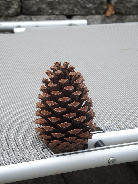 dscn2045_g.jpg