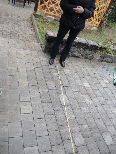dscn3236_g.jpg