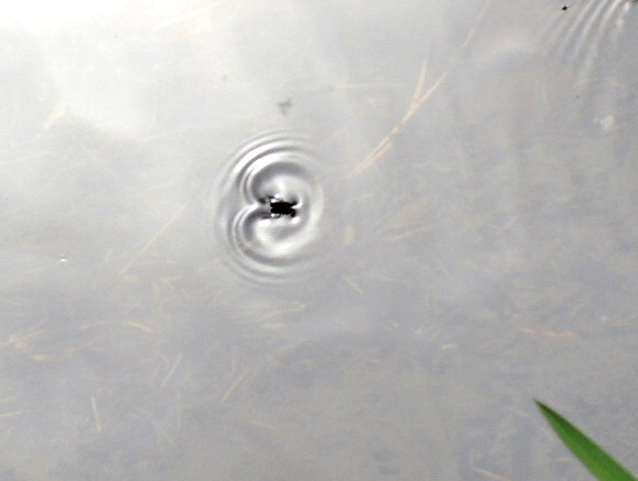 dscn3395-b.jpg