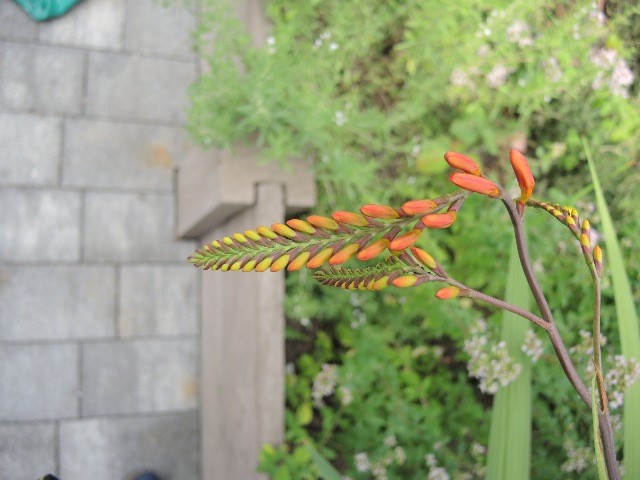 dscn3859_g.jpg