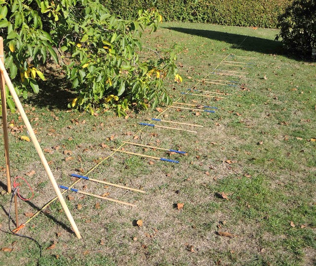 dscn4252_g.jpg