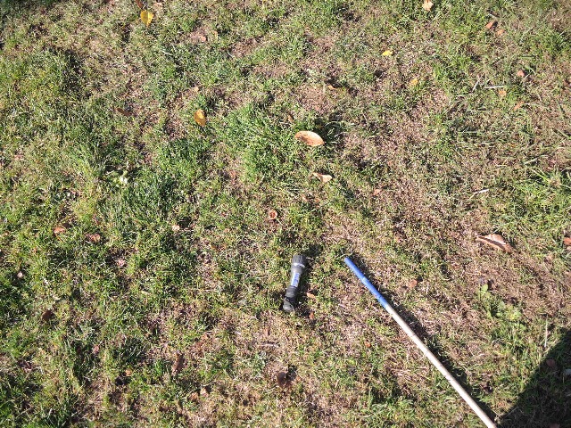 dscn4546_g.jpg