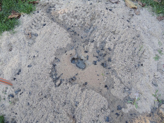 dscn4570_g.jpg