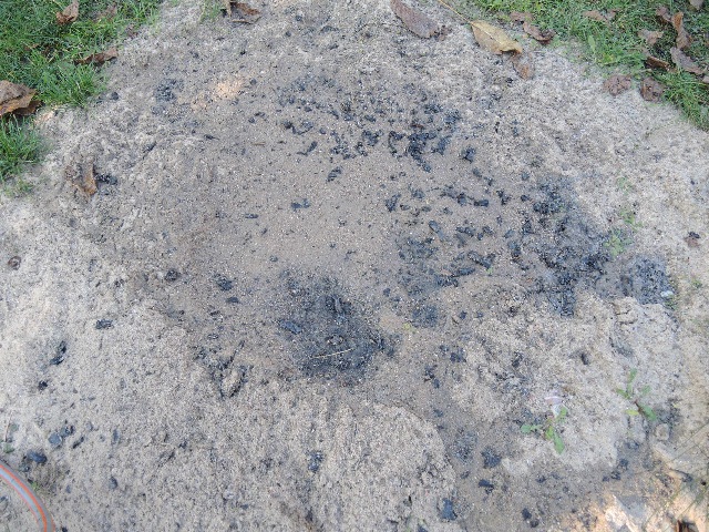 dscn4573_g.jpg