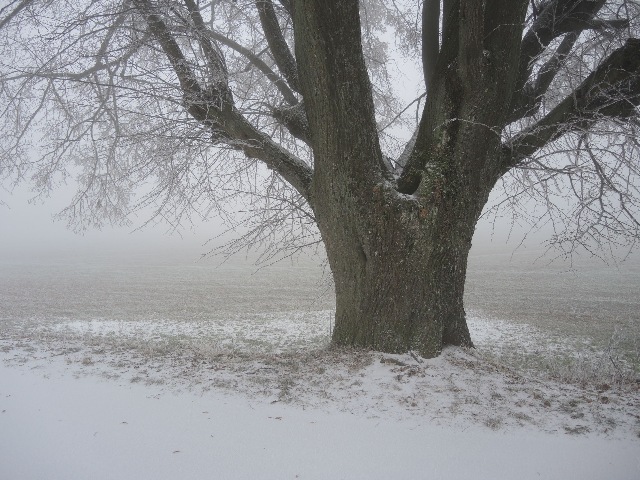 dscn8099_g.jpg