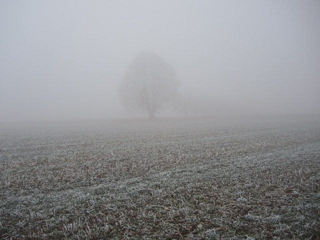 dscn8102_g.jpg