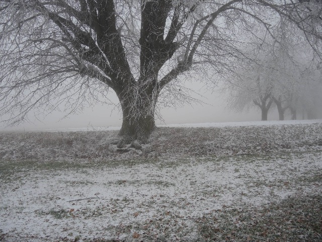 dscn8105_g.jpg