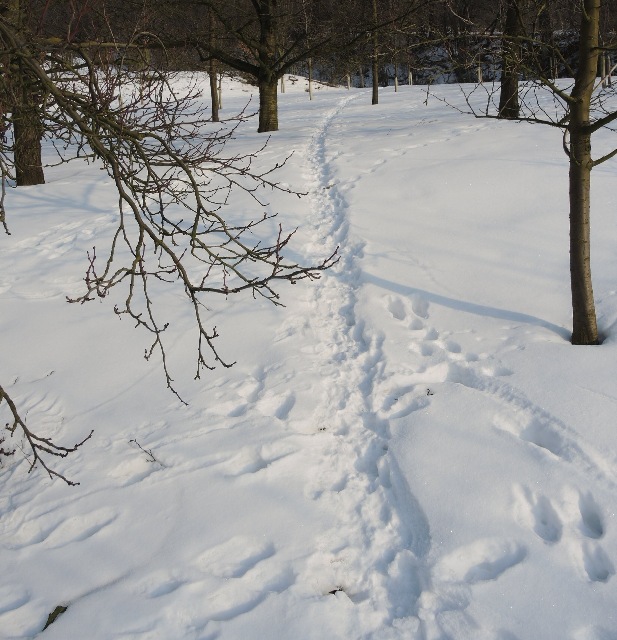 dscn8361-a_g.jpg