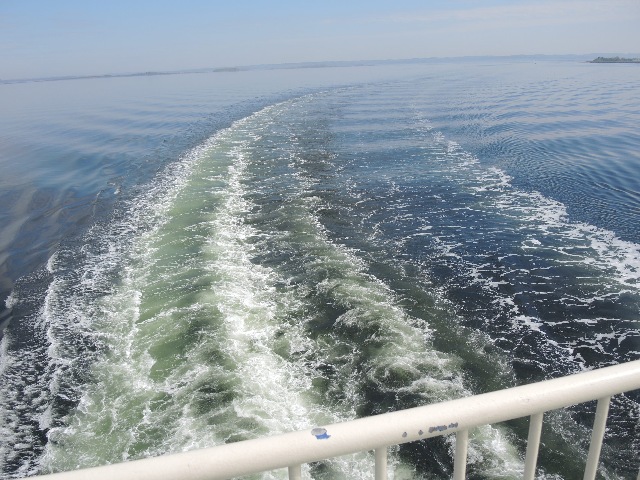 dscn9174_g.jpg