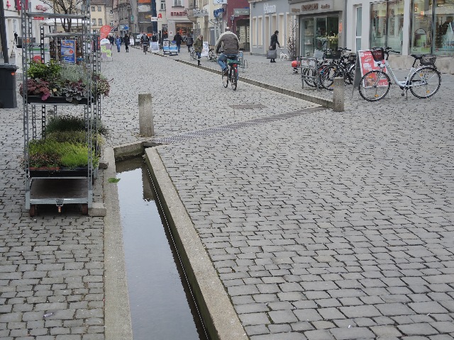 dsco1676_g.jpg