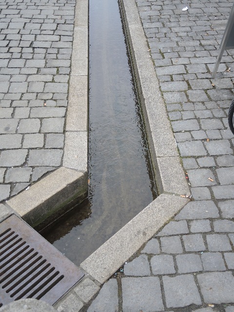 dsco1678_g.jpg
