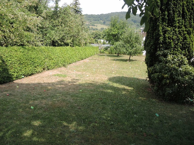 dsco2876_g.jpg