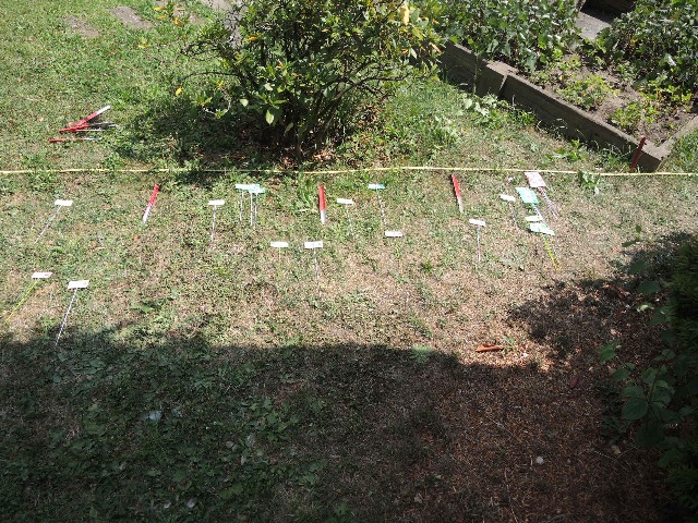 dsco2973_g.jpg