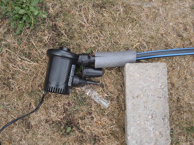 dsco3160_g.jpg