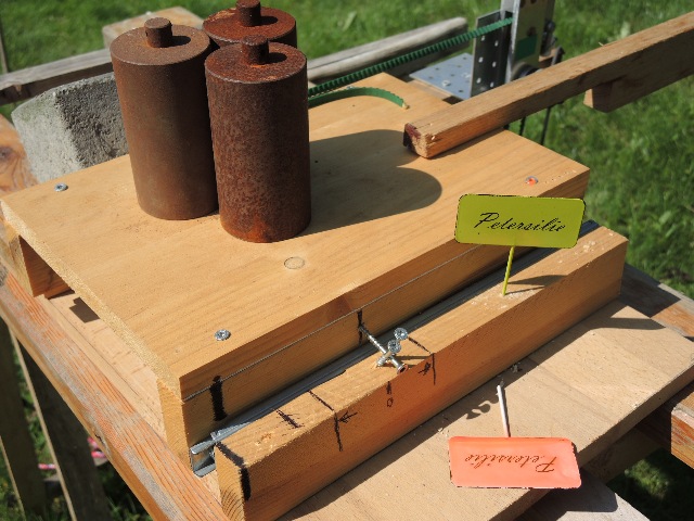 dsco4229_g.jpg