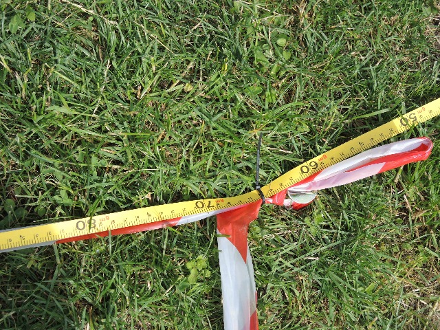 dsco4317_g.jpg